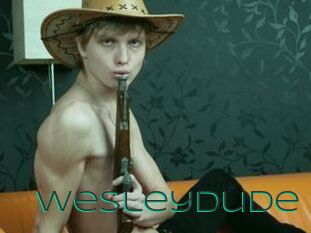 WesleyDude