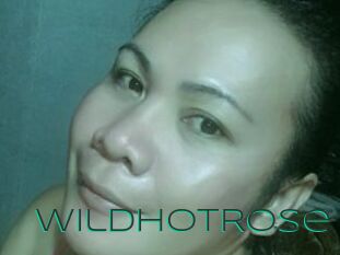 WildHotRose