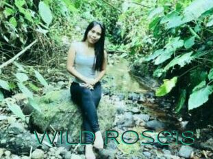 Wild_Rose18