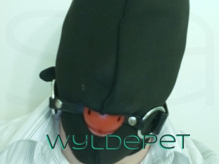 WyldePet