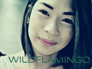 WildFLAMINGO