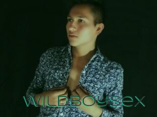 Wildboysex