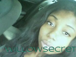 Willow_secret