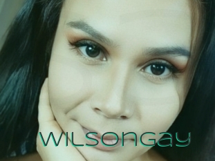 Wilsongay